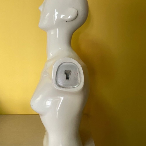 Mannequin torso used