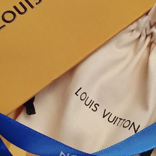 Louis Vuitton Smooth Epi Earrings gold tone, new