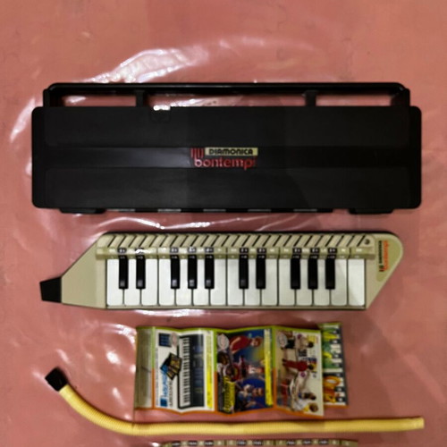 Bontempi Melodica like new with case and accessories