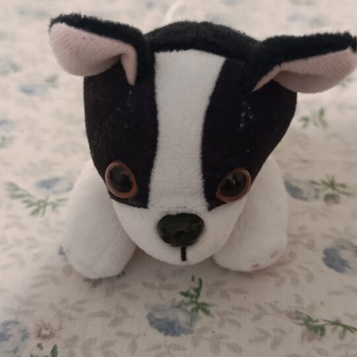Mummy Surprise Shabam plush dog set like new
