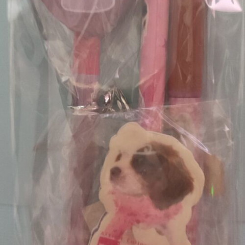The Dog Artist Collection "Princess" 4-Piece Set new