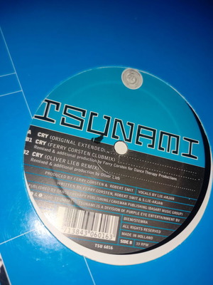 System f Cry vinyl record used, electronic