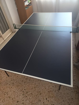 Ping Pong table