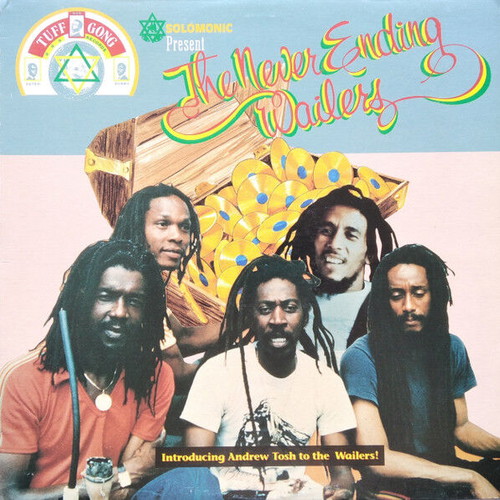 The Never Ending Wailers record used