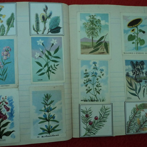 Botana tis Ellados album 1969 used with 60 cards and 3 chromolithographs