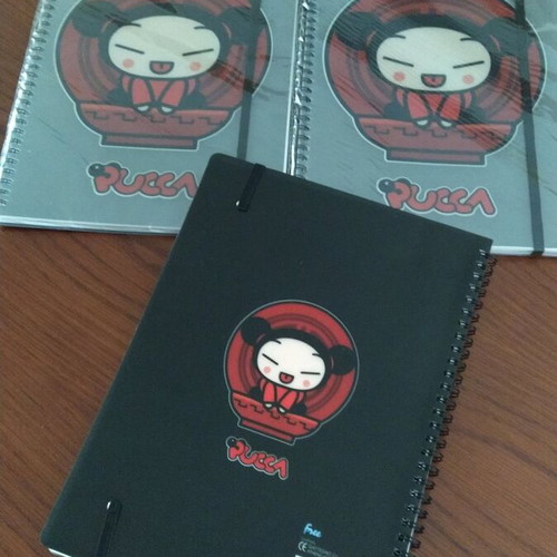 Set of 2 PUCA spiral notebooks with glossy cover and elastic band new
