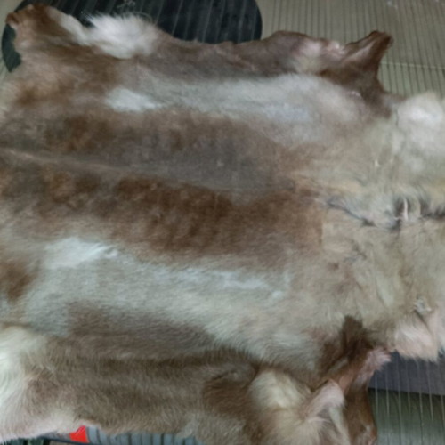 Reindeer Skin New With Dense Hair 130x75cm