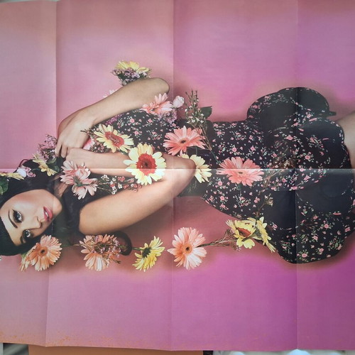 Giant Katy Perry Poster new