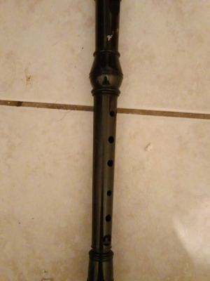 Collector's flute 1983 used