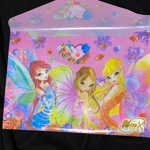 Winx club plastic folder used, A4 size