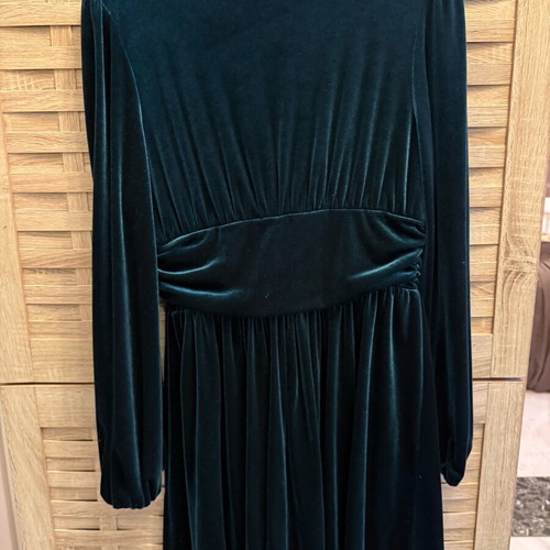 Velvet short dress new in cypress shade