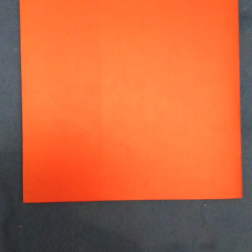 Prosopolatria book like new, arts genre