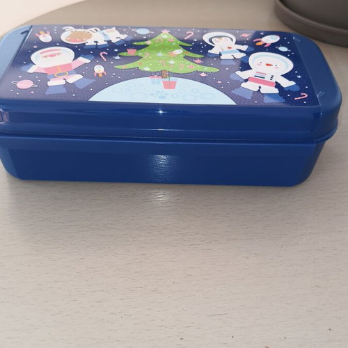 Tupperware sandwich container, new