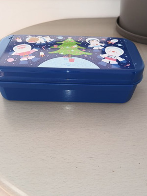 Tupperware sandwich container, new