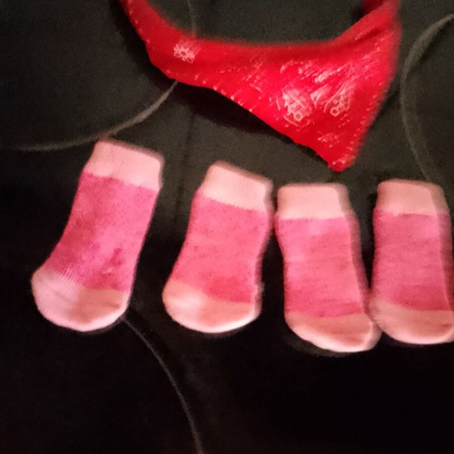 Dog paw socks for small dog like new