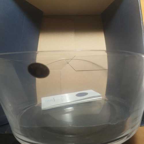 Bohemia crystal bowl new, authentic in box