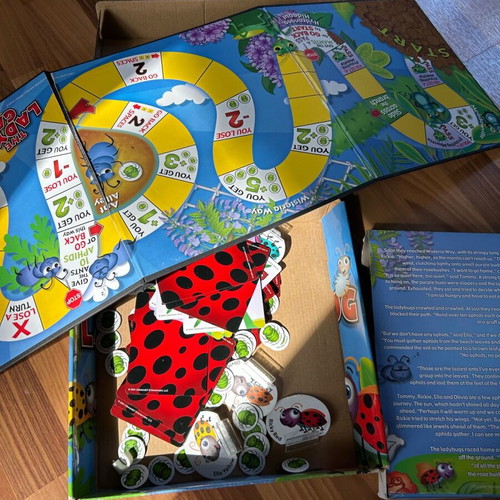 The Ladybug Game used educational board game