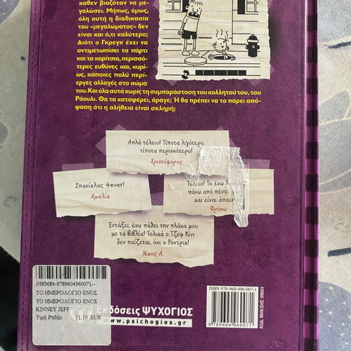 Diary of a Wimpy Kid 5 children's book like new