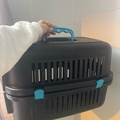 Pet transport box like new
