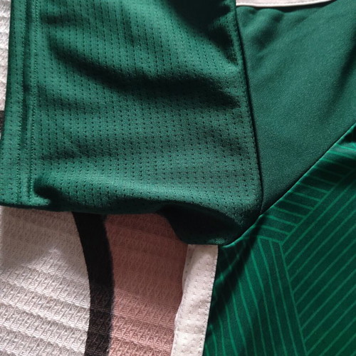 Panathinaikos FC 2023-24 Adidas home jersey, number 10, size M