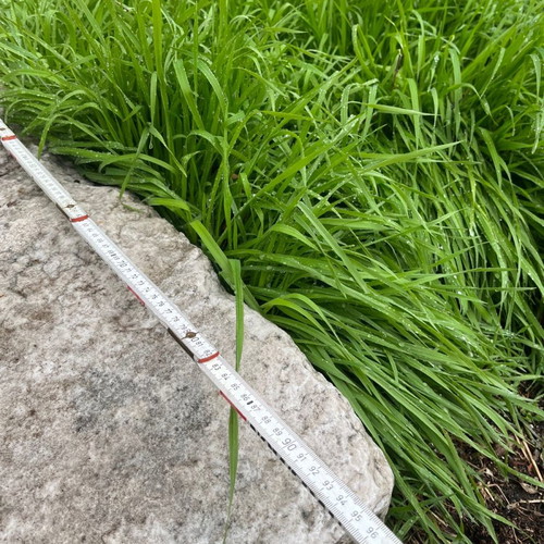 Stone trough used with dimensions 23x140x95 cm