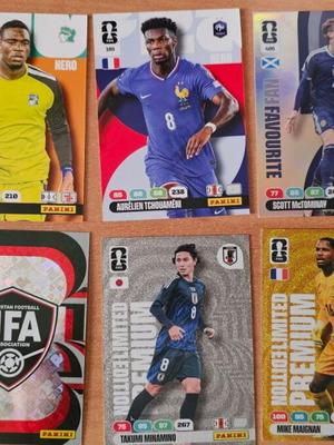 Panini World Cup 2026 album with 10 Adrenalyn cards and 11 stickers
