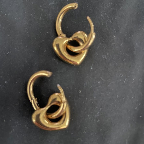 Gold-plated stainless steel earrings