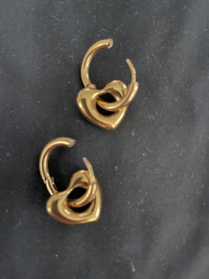 Gold-plated stainless steel earrings