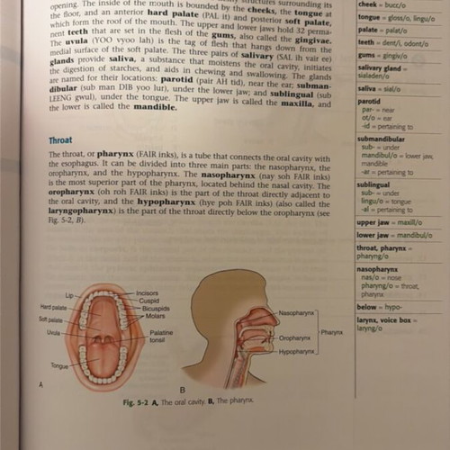Specialized English Terminology in Health Sciences book new
