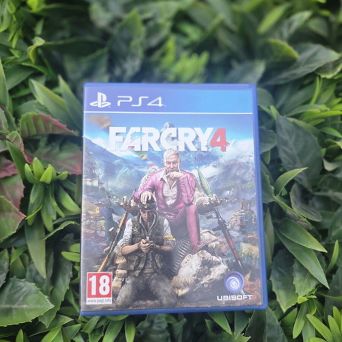 Far Cry 4 PS4 game