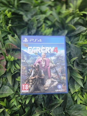 Far Cry 4 PS4 game