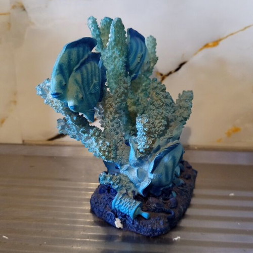 Decorative coral design with fish, new marine landscape