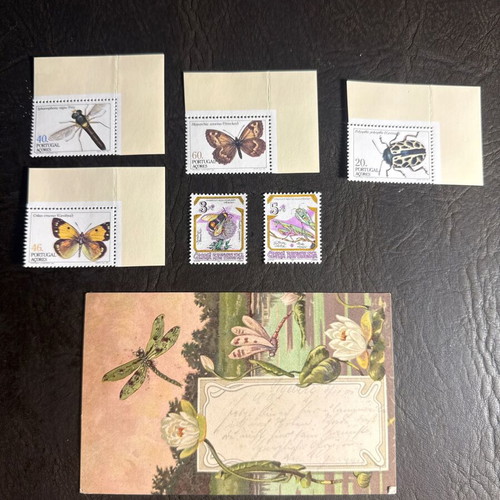 Collectible stamps with insects and vintage dragonfly card, new