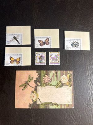 Collectible stamps with insects and vintage dragonfly card, new