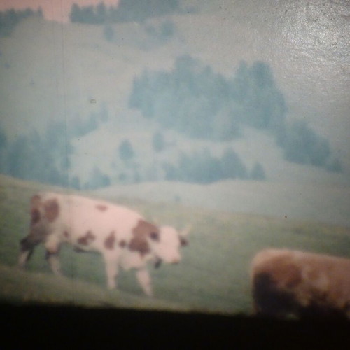 Super 8mm Amateur Family Movie with Swiss Landscapes like new