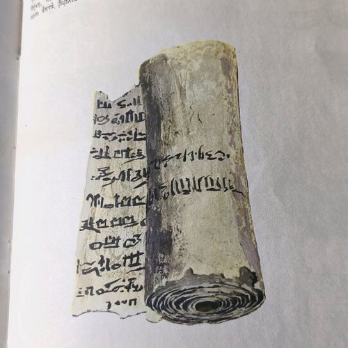 Illustrated Children's Bible used