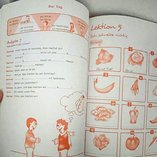 Naseweis 1 neu Arbeitsbuch and Lehrbuch German language learning books new