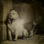 Pavlov s dog δίσκος βινυλιου 1975