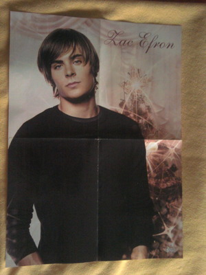 Zac Efron & Selena Gomez poster like new, size 58x41.7