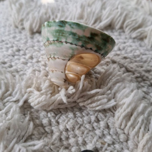 Ring oversized summer shell design new 52 mm