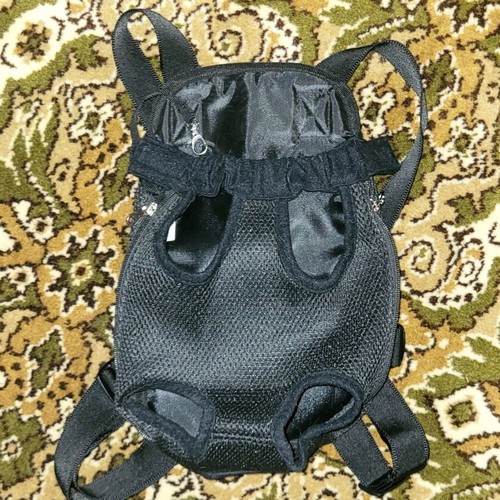 Pet harness like new, for cat up to 5 kg or small dog