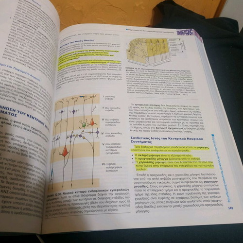 Histology with Color Atlas like new