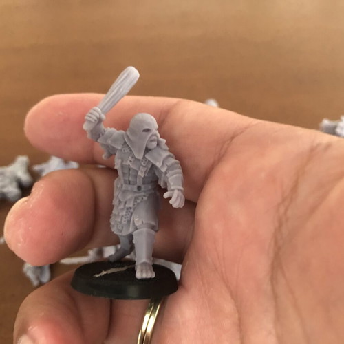 3D Printed Lord of the Rings Miniatures used, 28mm scale