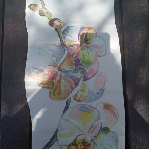 Wall sticker orchid flower new, sticky brand, 49cm x 26cm