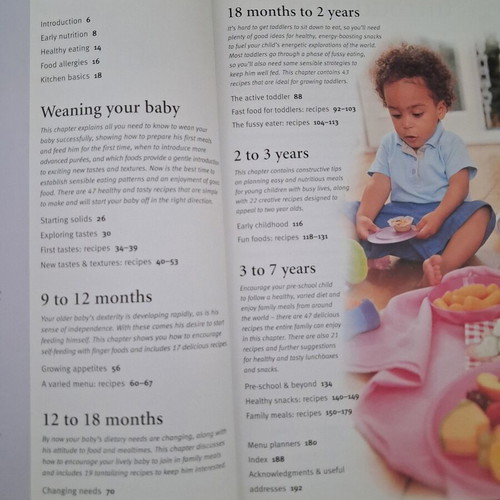 Feeding Your Baby & Toddler cookbook used, English