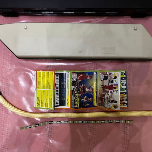 Bontempi Melodica like new with case and accessories