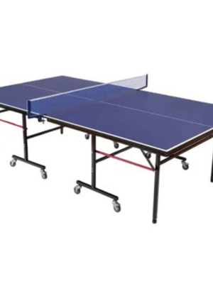 Ping Pong Table with Net, New, Professional Size 274×152.5×76cm