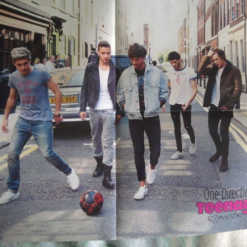 One Direction & Demy poster like new