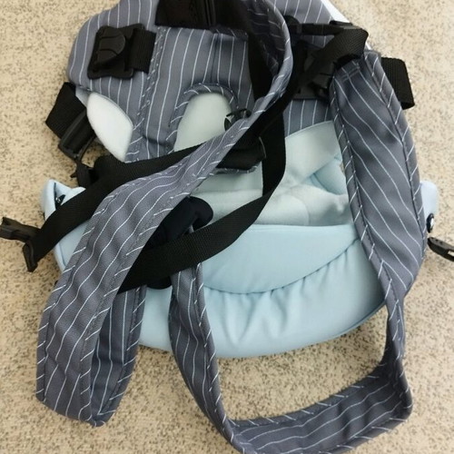 Chicco Carrier