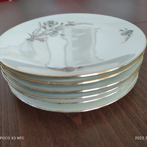 Schumaan German porcelain plates new, set of 6 pieces